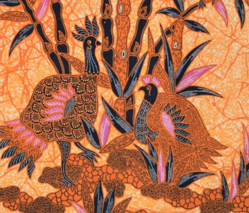 Burung of vogels