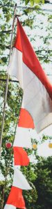 rood betekenis